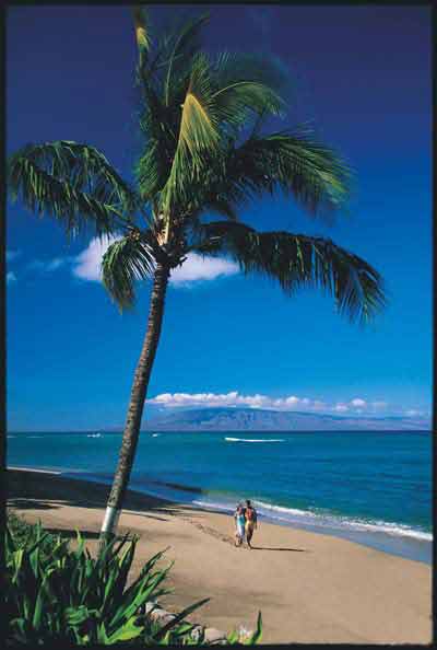 Outrigger Royal Kahana - 