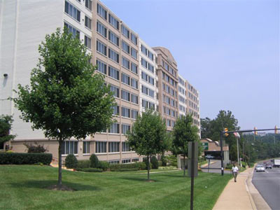 Hawthorn Suites Alexandria - 