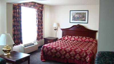 Hotel Preet Grand Conference Center - King Bed