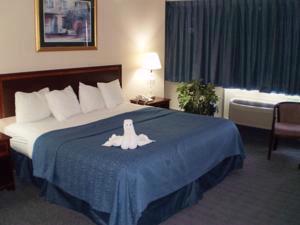 Quality Inn - 