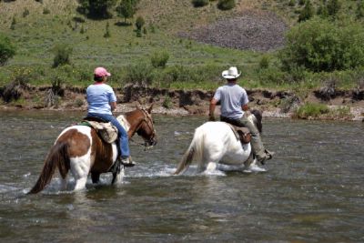 Radisson Fort Mcdowell Resort & Casino - Horse Back Ride In The Verde River