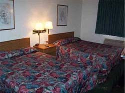 Alton Super 8 - Double Bedded Room