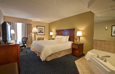 Hampton Inn Dulles Cascades - 
