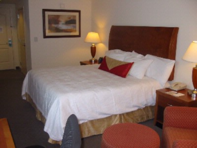 Hilton Garden Inn Ithaca - Hilton Garden Inn King Room
