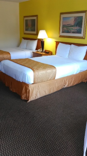 Two Double Bed Room
