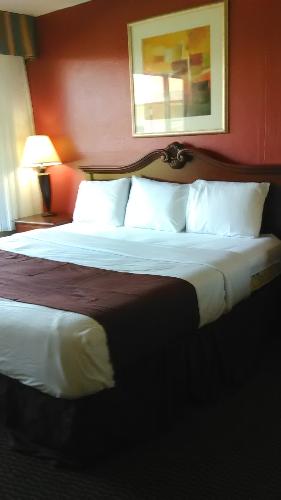 King Bed Room