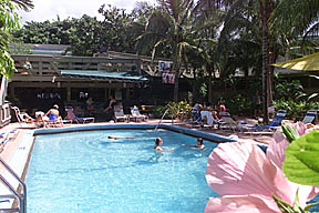 Tropical Setting Pool and Bar