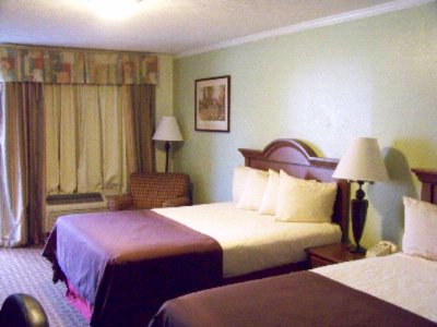 Best Western White Columns Inn - Our Double Queen Room