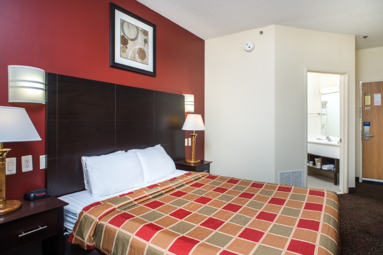 Red Roof Inn - 