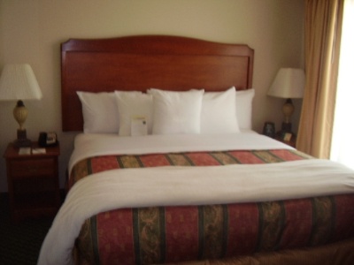 King Bedded Suite