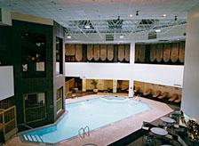 Indoor Heate Swimming Pool