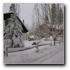 Black Forest Lodge - Winter