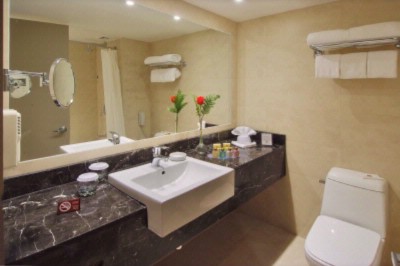 Hotel Crowne Plaza Santiago - 