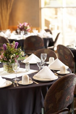 Thunderbird Executive Inn & Conference Center - 