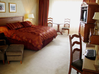 L'hotel De La Montagne - Deluxe room & private balcony king bed