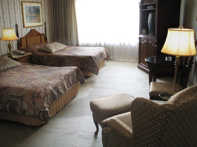 L'hotel De La Montagne - Deluxe room private balcony 2 beds