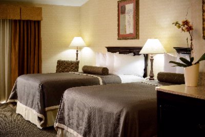 Best Western Inn of King of Prussia - Two Double Bed Room