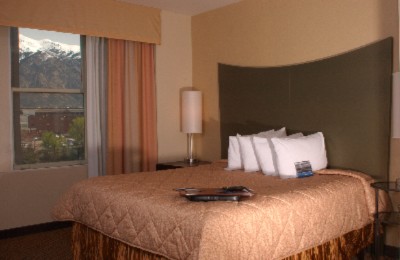 Hampton Inn & Suites Ogden - 
