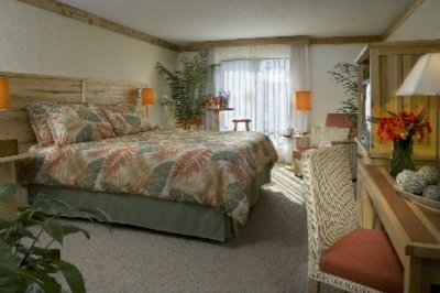 Hooters Casnio Standard Room - King Bed