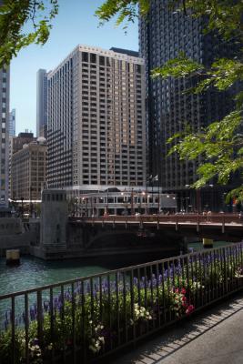 Renaissance Chicago Hotel - 