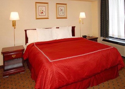 Comfort Suites Woodbridge - 