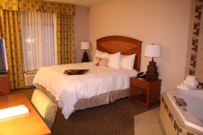 Hampton Inn & Suites Dallas / Allen - King Whirlpool Room