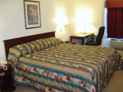 Ramada Inn St. Peters - Business Suite Room