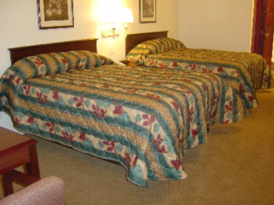 Ramada Inn St. Peters - Double Bed Room