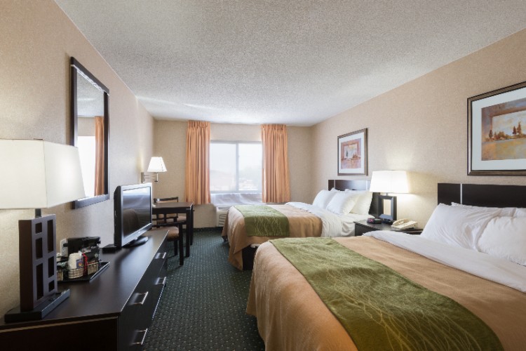 Suite Rooms Available With Mini Micro And Fridge