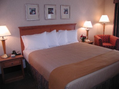 Guest Room With One King Bed