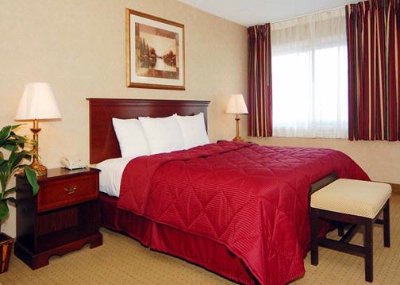 The Comfort Inn - 