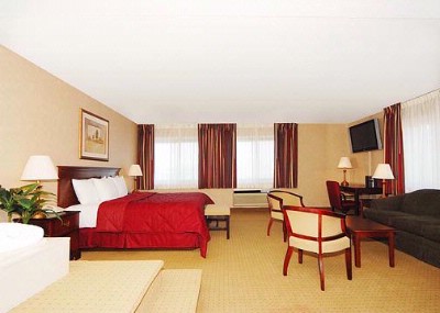 The Comfort Inn - 