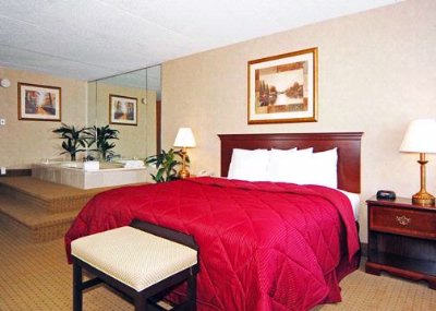 The Comfort Inn - 