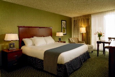 Aquarius Casino Resort - Luxury Room King Bed