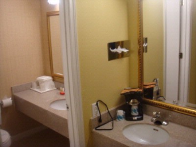 Ramada Allentown / Whitehall - Guest Bathroom