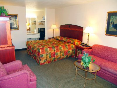 Super 8 Motel - Room