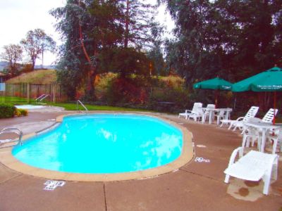 Super 8 Motel - Heated Spa & Pool
