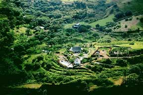 Hono Hu'aka Tropical Plantation - Aerial View