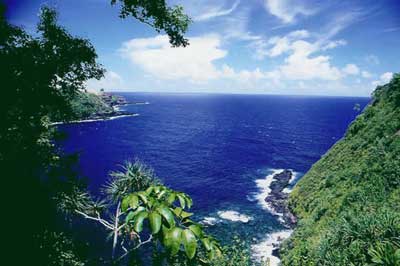 Hono Hu'aka Tropical Plantation - 300 feet above historic Waipio Bay