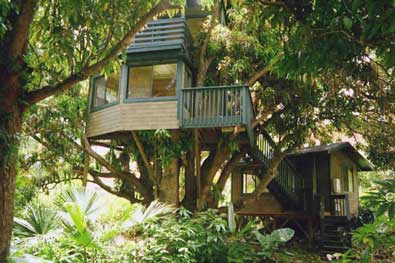 Hono Hu'aka Tropical Plantation - The Majestic Tree House
