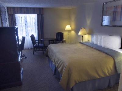 Holiday Inn Rock Hill - Guest Room 1 King Bed