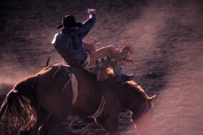 Springhill Suites by Marriott Denver North / Westm - Experience The West At The National Western Stock Show Each January