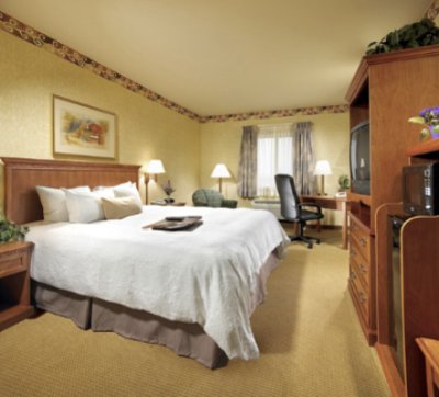 Hampton Inn & Suites - Standard King