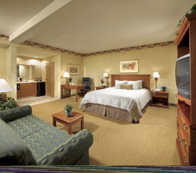 Hampton Inn & Suites - Standard King Suite