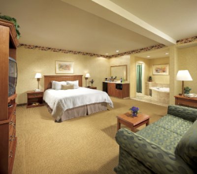 Hampton Inn & Suites - Jacuzzi Suite King Bed