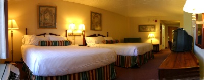 Wingate Inn Tampa North - Queen / Queen Standard Room