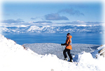 Best Western Truckee Tahoe Inn - Ski the mountains.