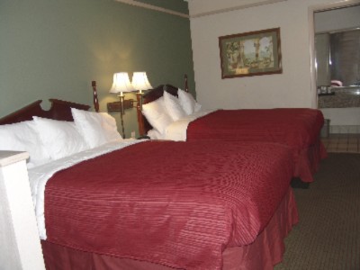 Quality Inn & Suites Baymeadows - Standard Double Beds