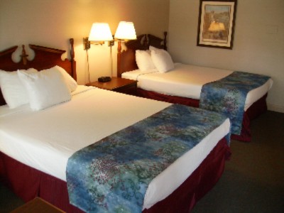 Best Western General Nelson Inn - Standard Room