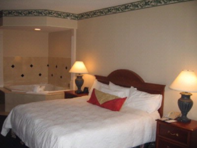 Hilton Garden Inn Charlotte North - King Evolution Whirlpool Room